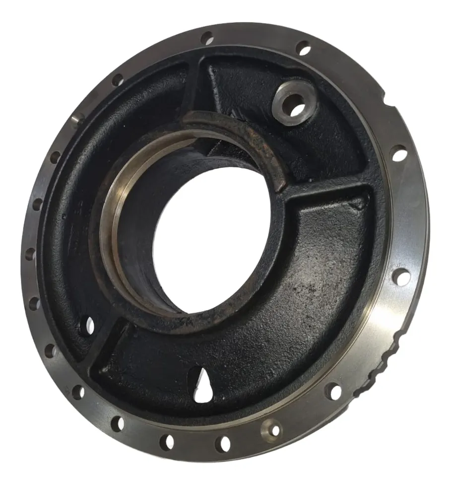 Placa Diferencial Final Traseira AGCO Lado Direito Massey Fergusson (071269)